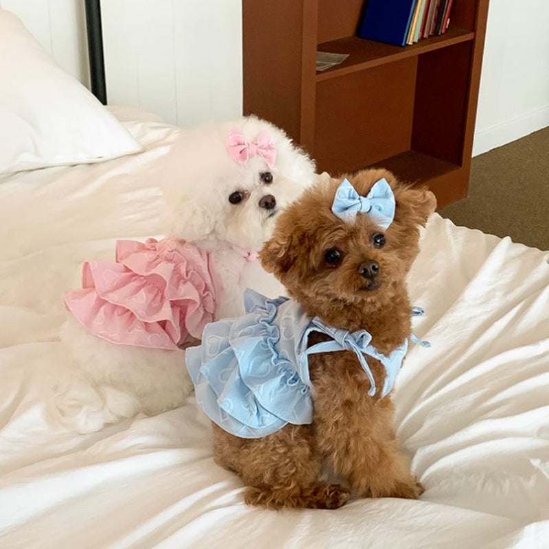 Robe de chien en forme de cœur printemps-été
