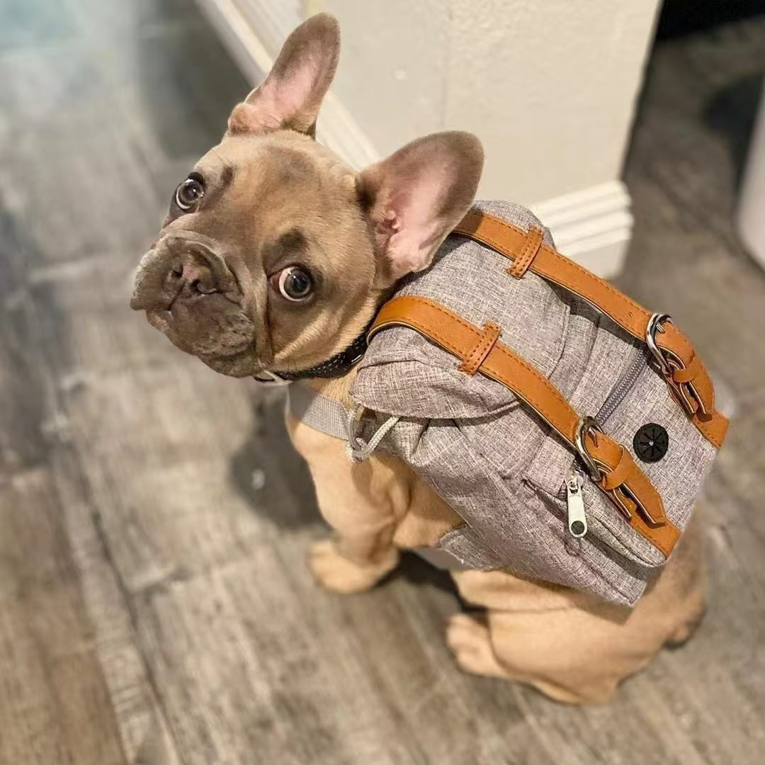 Retro Streetwear Dog Backpack Petite Pet Carrier