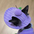 T-Shirt et chapeau de soleil 2 pièces pour chat rayé d'été