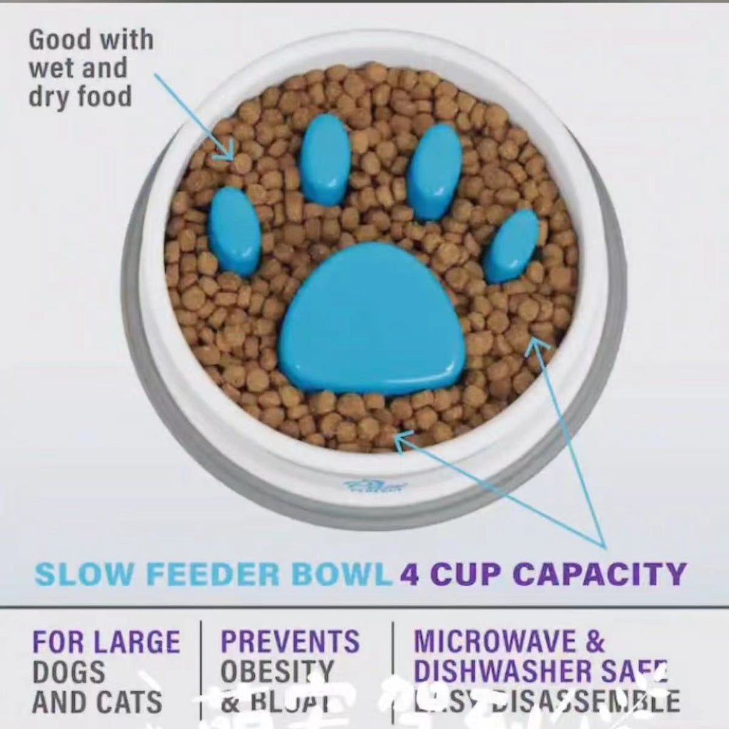 L'alimentation lente Anti-choc et non-dérapant Pet Bowl