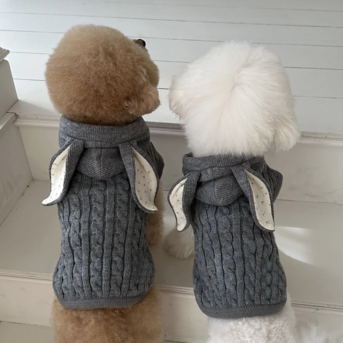 Cape et châle pour animaux de compagnie chauds