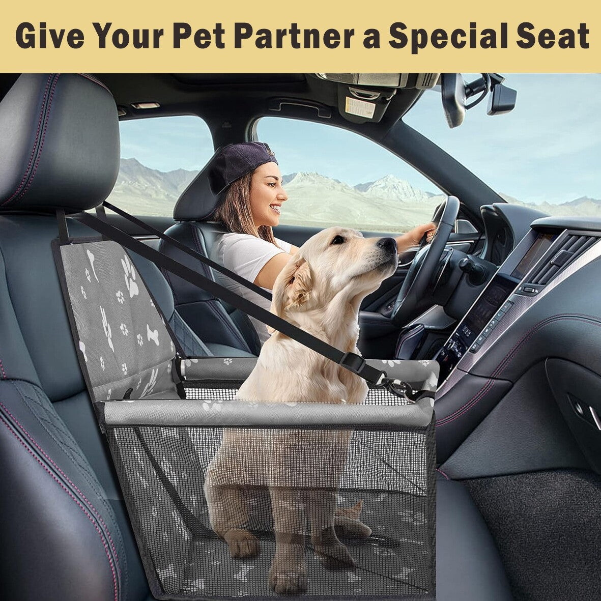 Siège de voiture pour chien pour petit animal de compagnie moyen