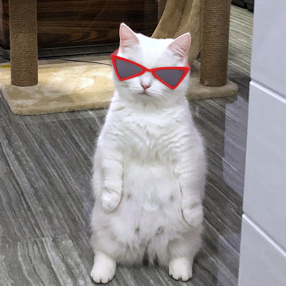 Lunettes de couleur drôle Accessoires pour chiens et chats