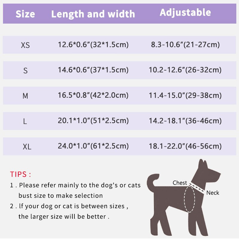 Adjustable Double D-Ring Pet Collar