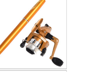 Équipement de pêche de poche portatif de type stylo