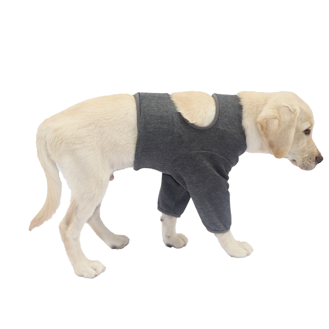 Équipement de protection pour chien Jambe avant Couverture de protection double équipement de protection