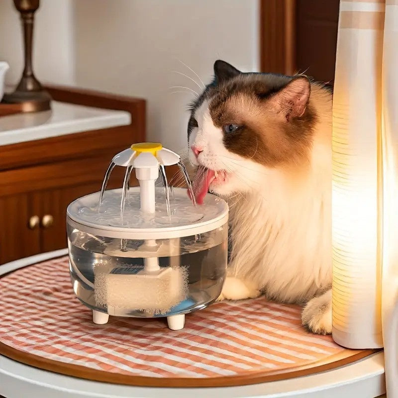 Fontaine d'eau pour animaux de compagnie filtrant automatique pour chats et chiens