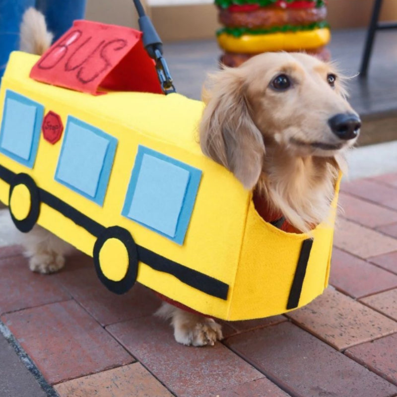Vêtements pour animaux de compagnie