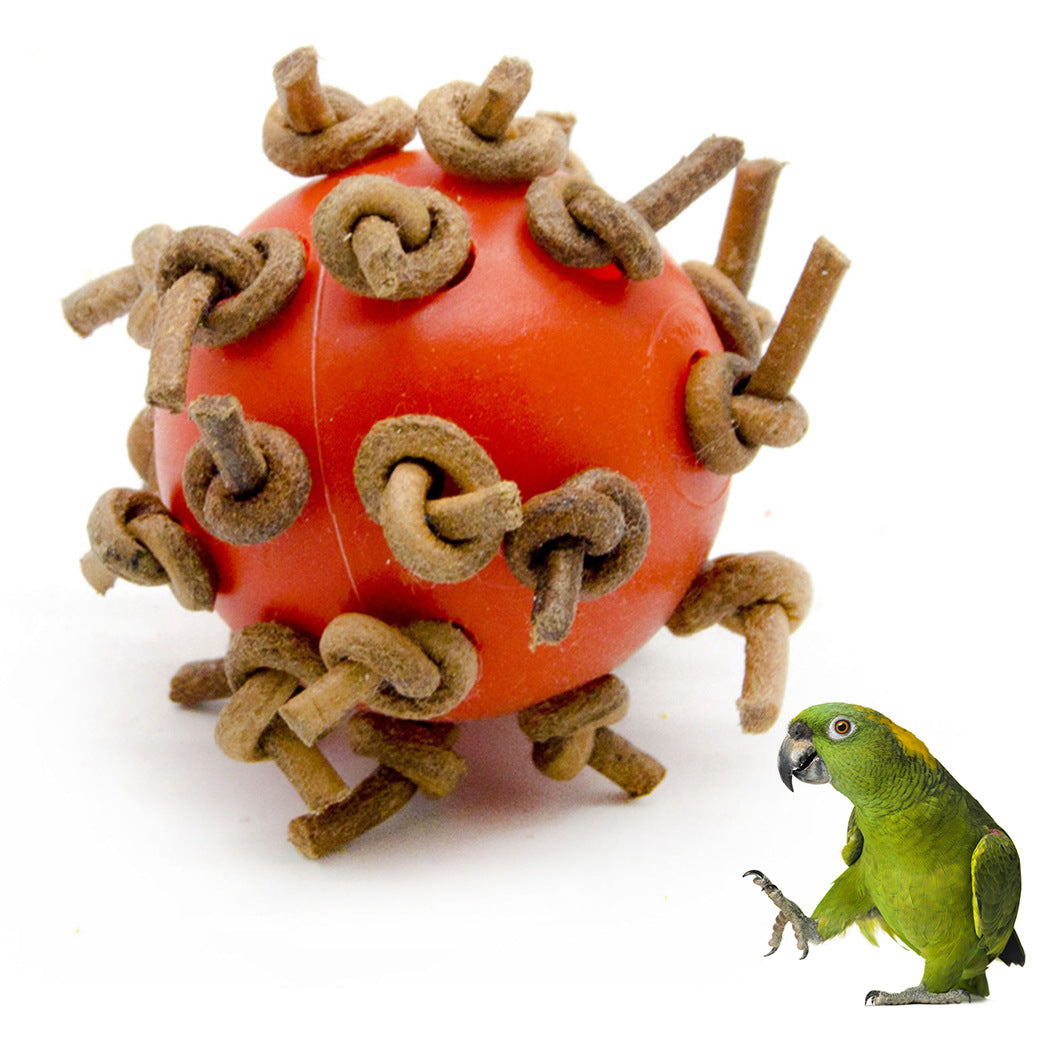 Balle à Chewing interactive en plastique pour perroquet