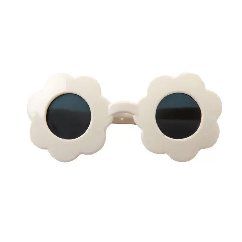 Lunettes de soleil pour animaux de compagnie