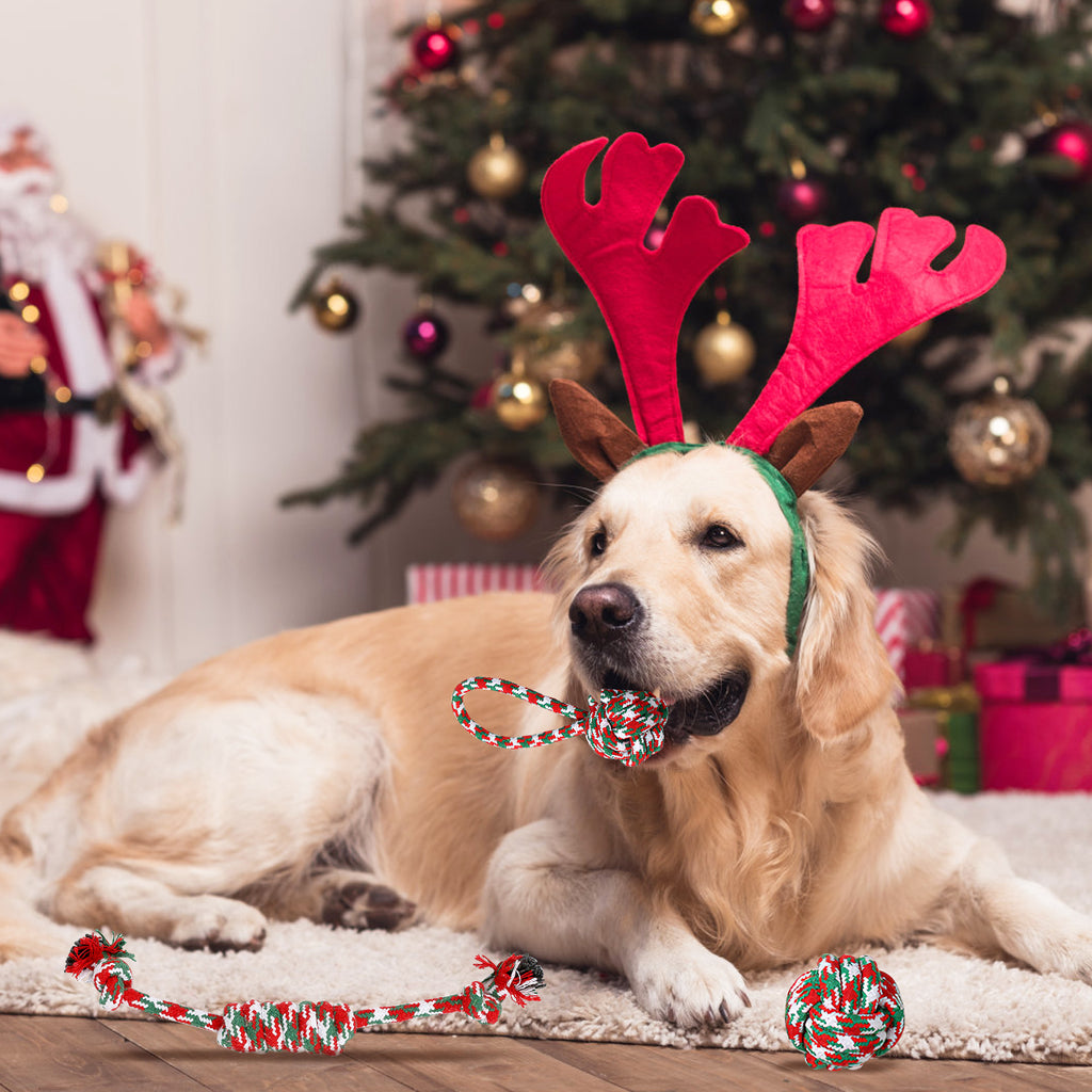 Ensemble de 5Pcs Rope de chien de Noël Jouets de Chew Jouets interactifs de chien Set pour chiot petit moyen A