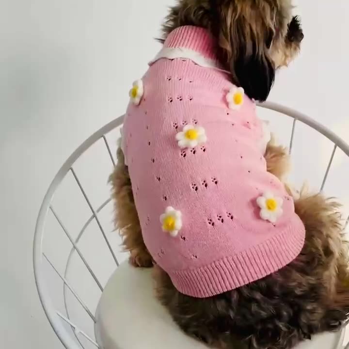 L'automne et l'hiver chaud et confortable Chandail de chien vêtements chat vêtements fleur Blossom