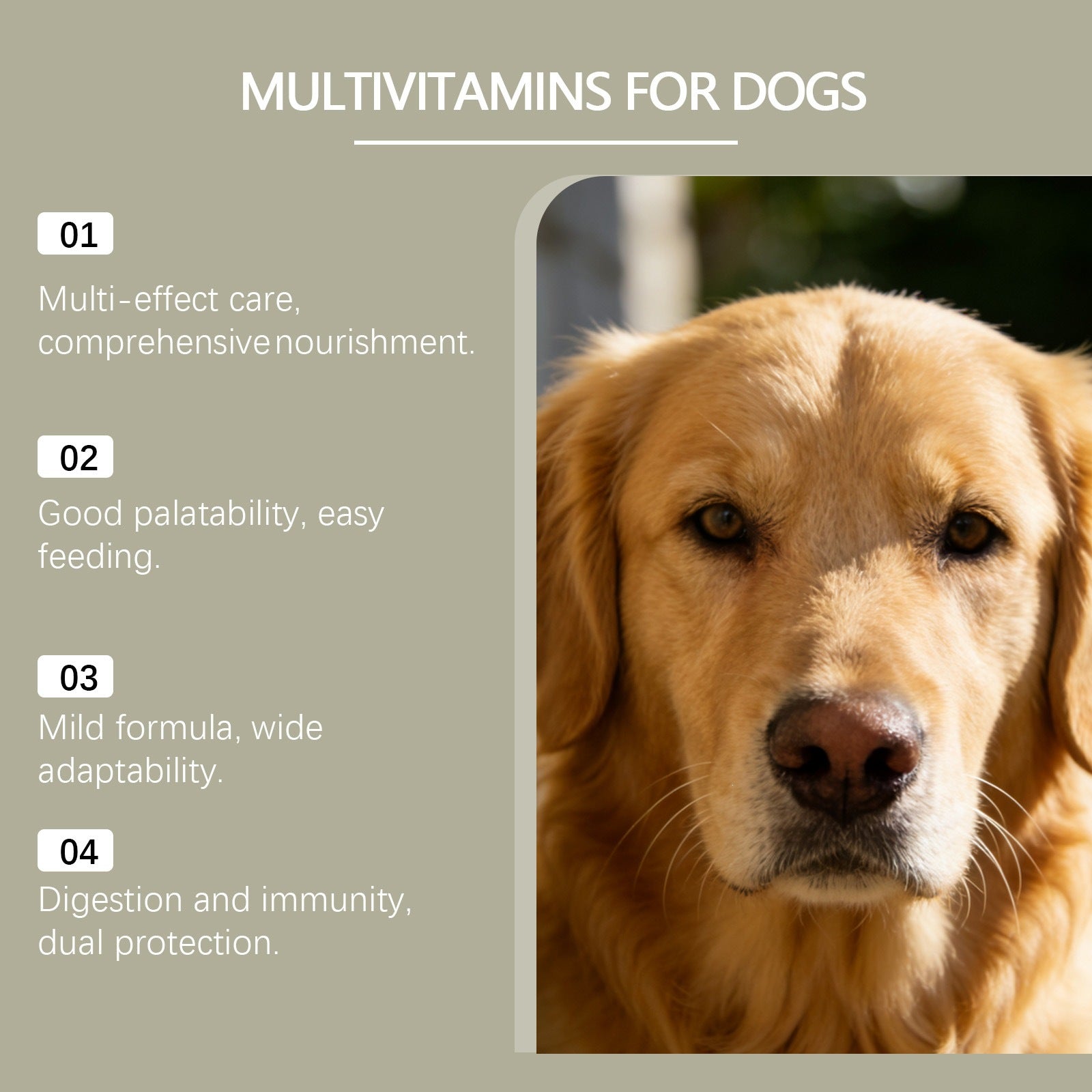 Comprimés à croquer multivitamines pour chiens