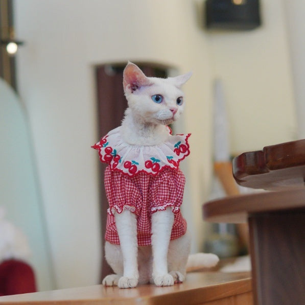 Sphynx Cat Rouge et Blanc Robe de coton d'été avec cerises Collier Dentelle Vêtements légers