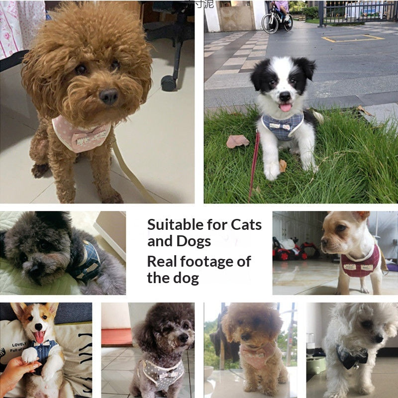 Leash de style vestois pour les chats et les chiens à pied