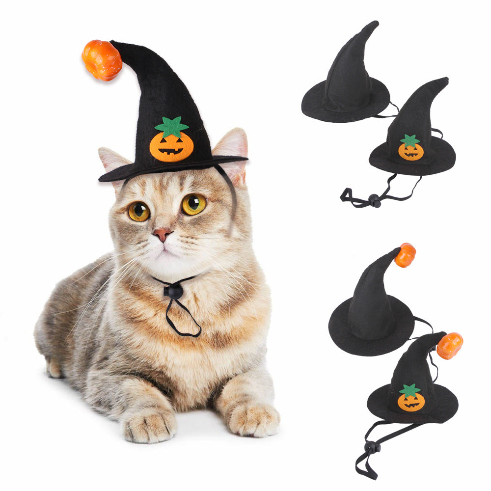 Chapeau de chat d'Halloween Chapeau de citrouille