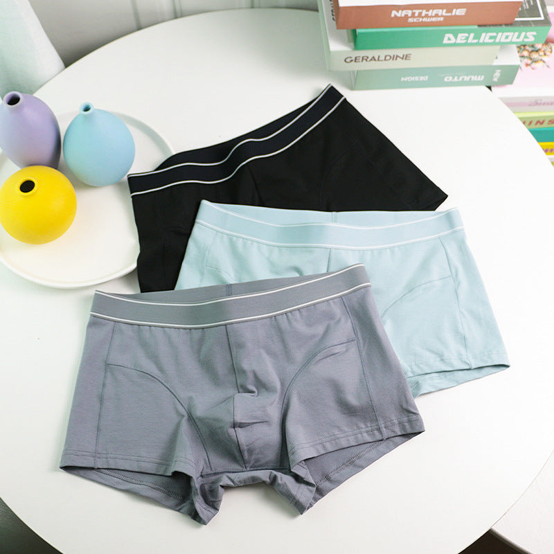 Sous-vêtements pour hommes Boxer en coton purifié doux et respirant