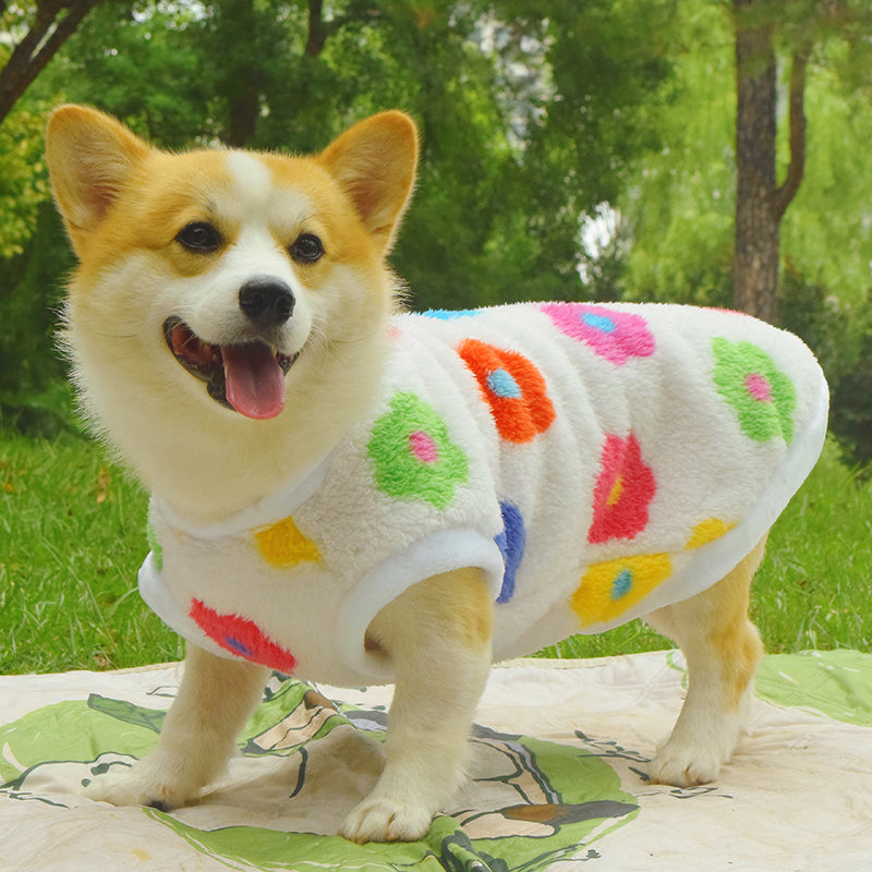 Vêtements de chien Automne et hiver Veste rembourrée anti-dorteuse de taille moyenne