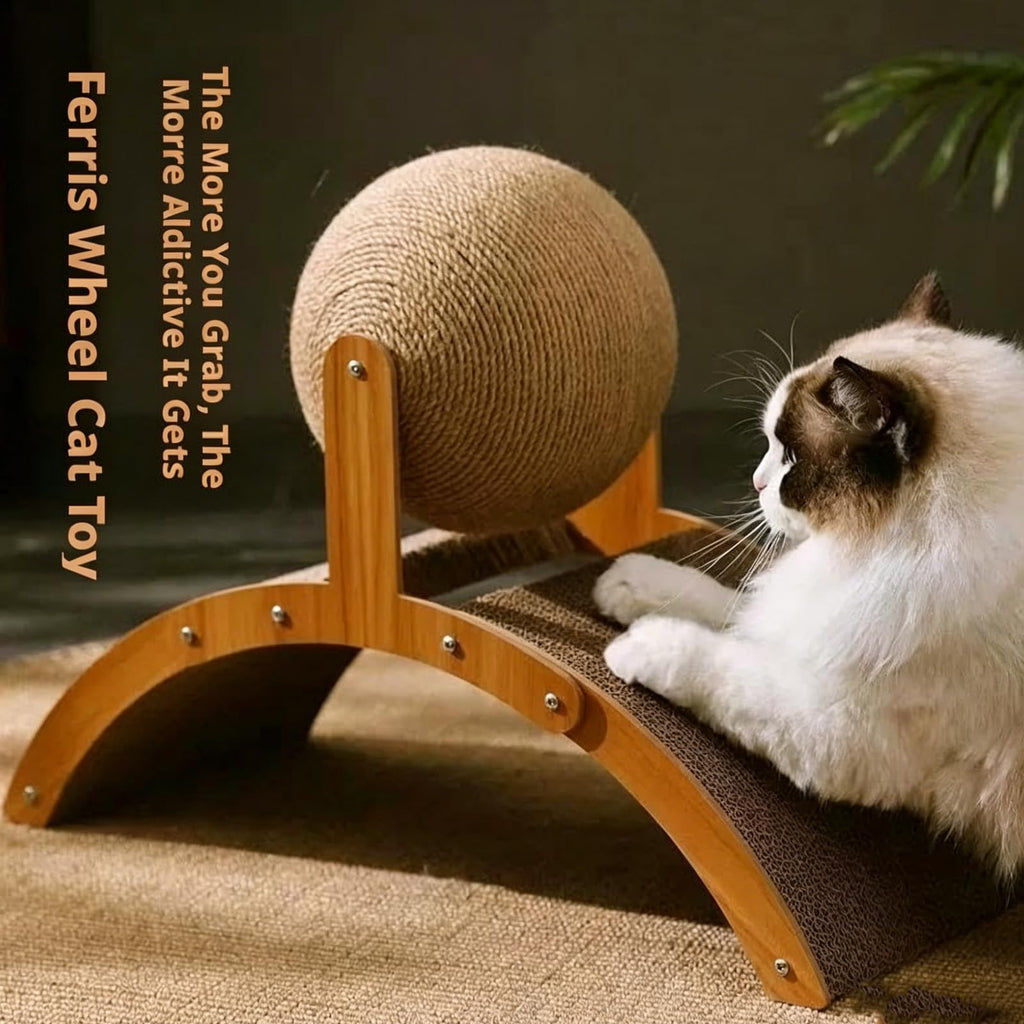 Éclat de chat à boules