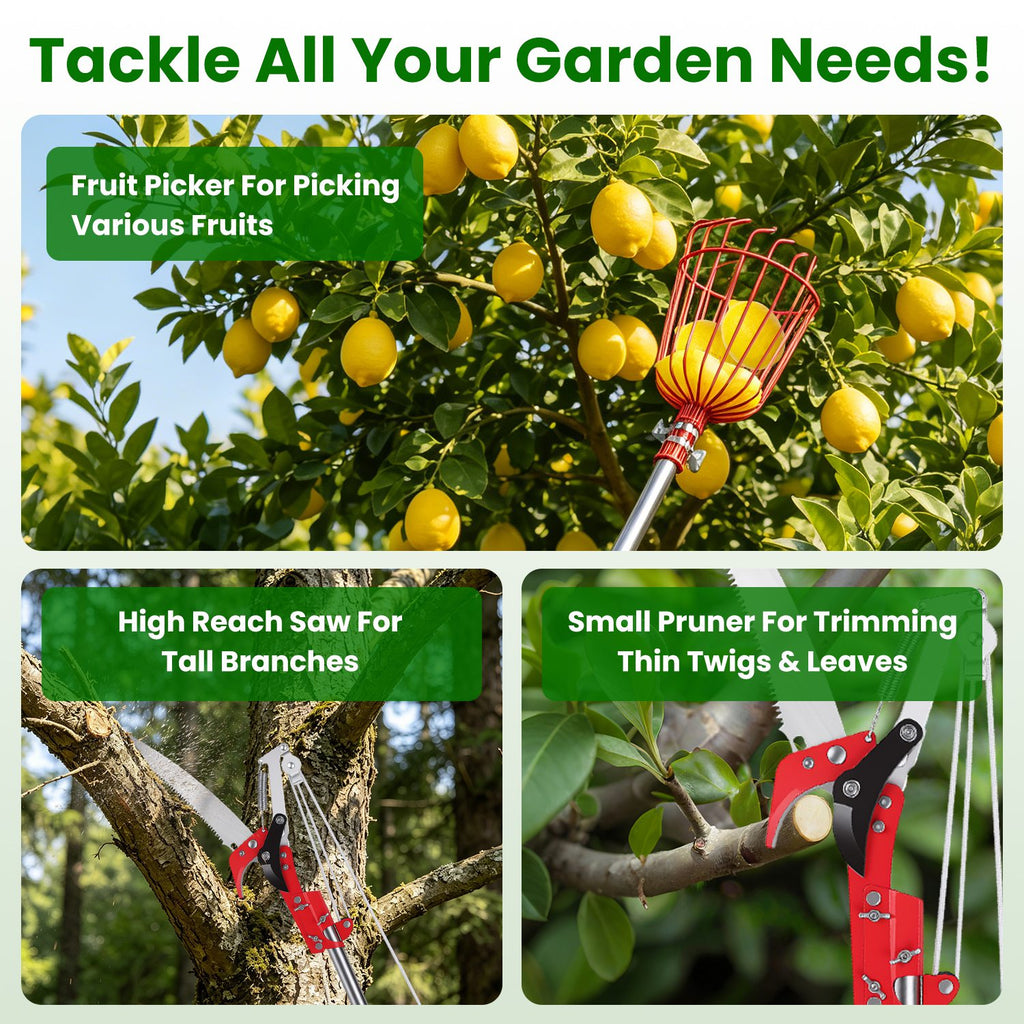 14.4FT OU 10.9FT Option 2-en-1 Picker de scie et de fruits avec Pol en acier inoxydable extensible