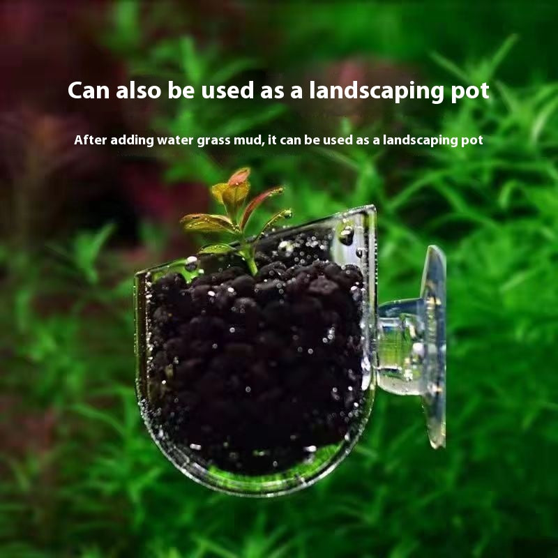 Coupe de paysage riche en transparence pour réservoir de poisson