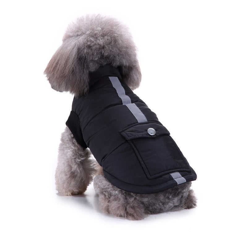 Vêtements d'hiver populaires pour animaux de compagnie