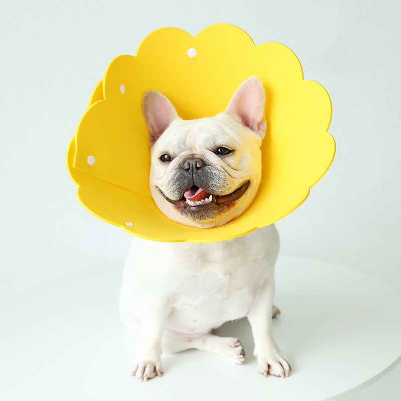 Couverture de la tête anti-lissante pour la modélisation du tournesol