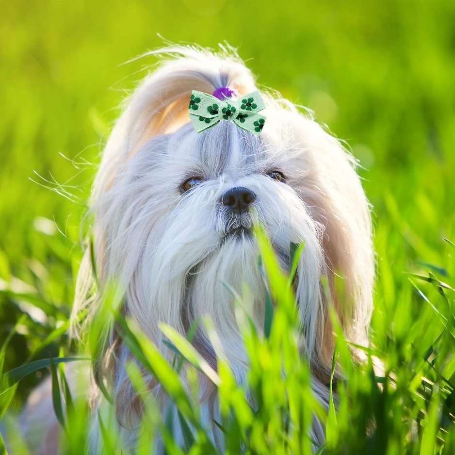 Nœuds pour chien verts avec élastiques, lot de 20