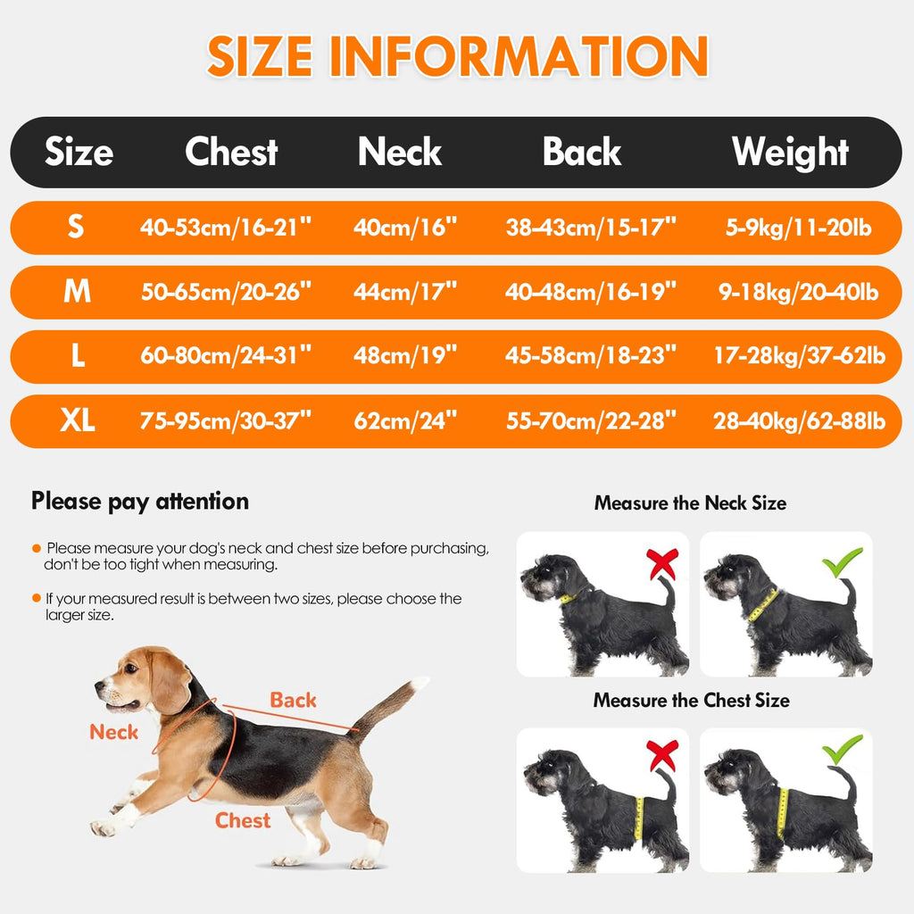 Veste de vie pour chiens de petite taille moyenne