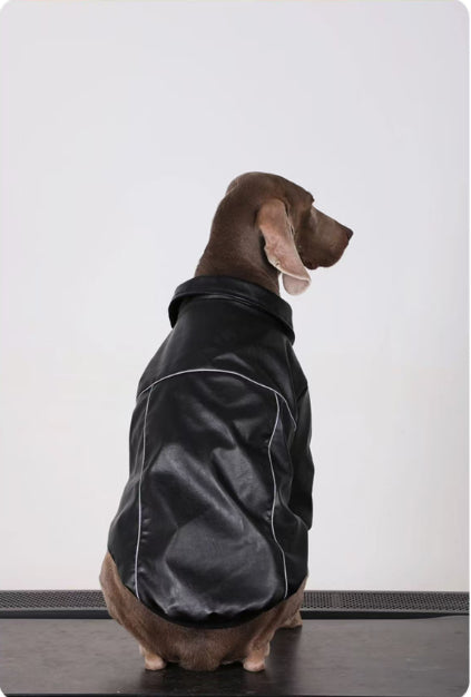 Vêtements de chien pour les races moyennes à grandes Veste en cuir noir automne pour les Labradors