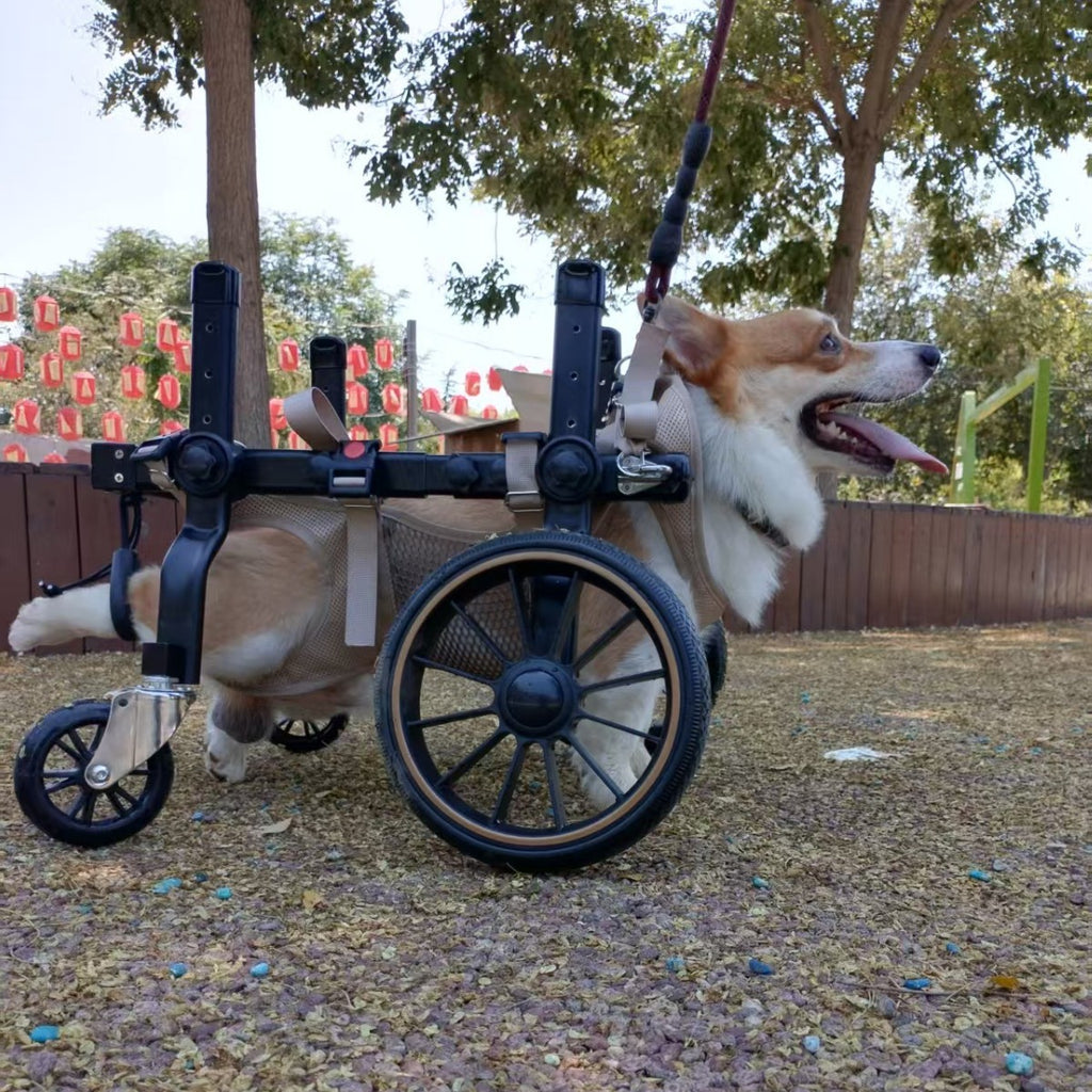 Fauteuil roulant pour chiens pour la réhabilitation de la paralyse et l'aide à la mobilité pour chiens handicapés