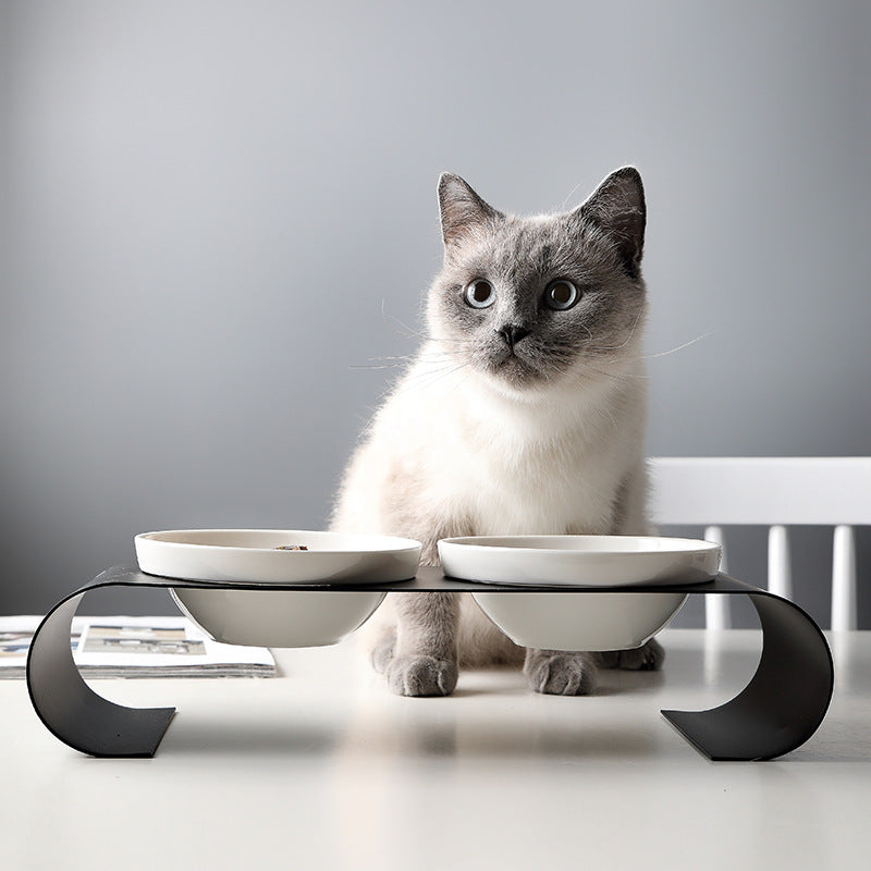 Double Bowl Dog Bowl Iron Frame Prote Spine Ceramic Bowl Set
