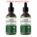 Chlorophylle liquide