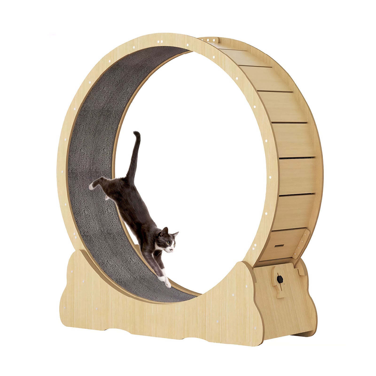 Roue de chat, Grand tapis de chat pour les animaux domestiques, Cats Exercise Roue avec Detachabl