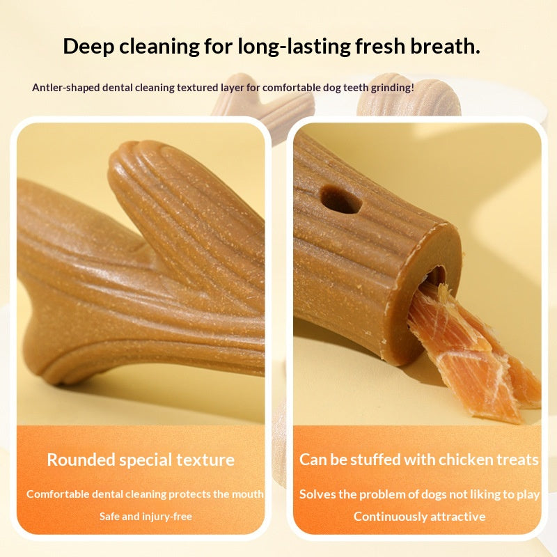 Animaux de compagnie Jouet Chien Bone-résistant au nettoyage des dents en bois de pin naturel