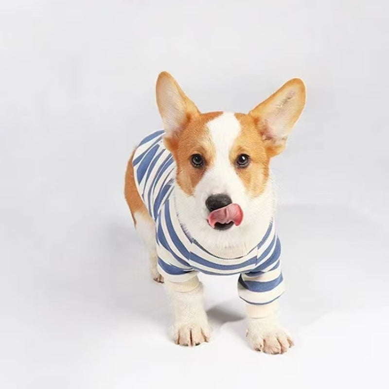 Vêtements pour chiens moyens à grands Corgis et Shih Tzus