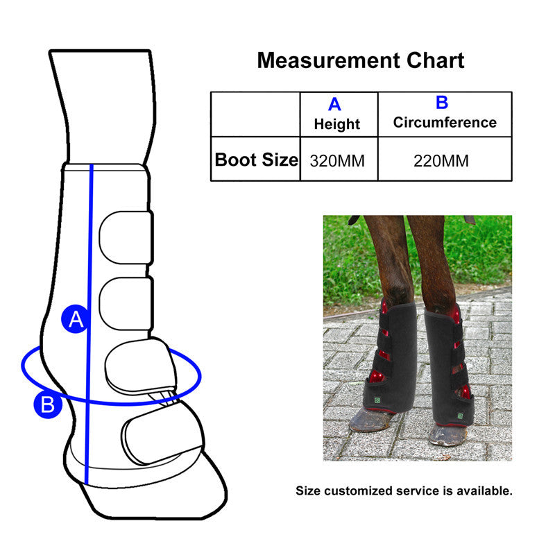 Red Light Infrared Pet Sports Wound Recovery Cheval Leg Photothérapie Portable