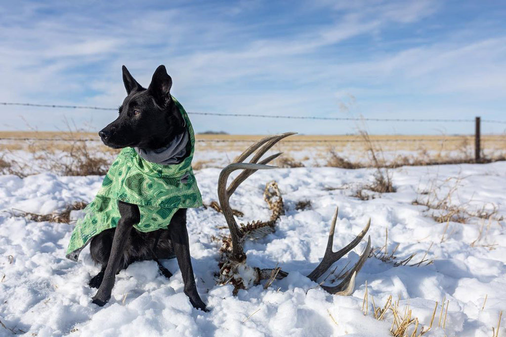 Veste en Coton Grand Chien imperméable à la neige chaude en automne et hiver