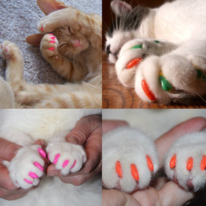 Ensemble Amazon Cat Nail Caps Pet Nail Set Ensemble Cat anti-rayure Claw Set