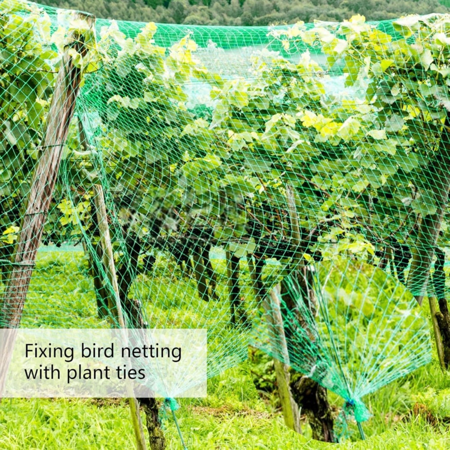Filet de protection de l'arbre fruitier avec étriers et pinces de fixation pour protéger votre récolte