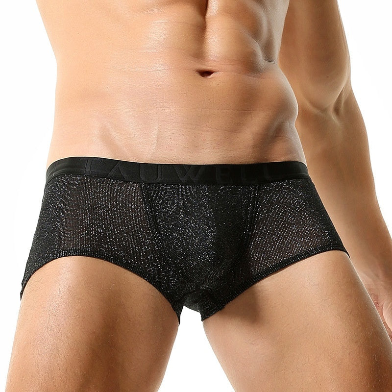 Sous-vêtements pour hommes Low Waist Sexy Mesh U Convex Boxers pour hommes Sous-vêtements pour hommes brillants
