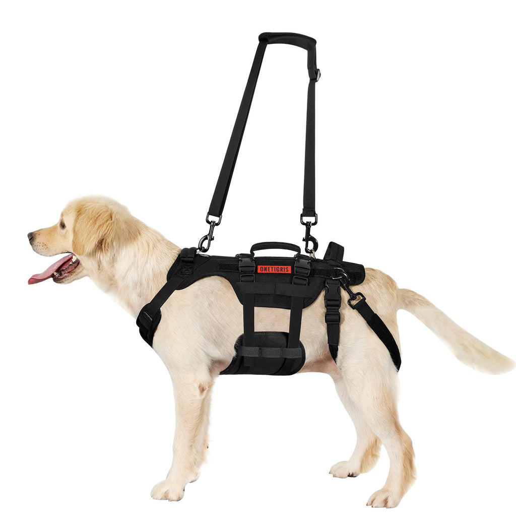 Harnais de chien extérieur tactique Vest