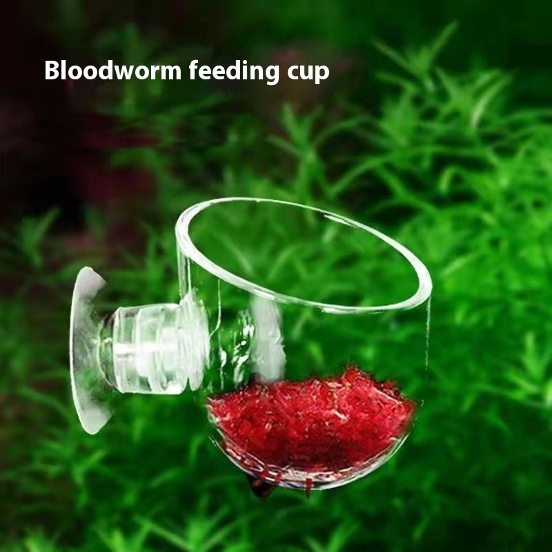 Coupe de paysage riche en transparence pour réservoir de poisson