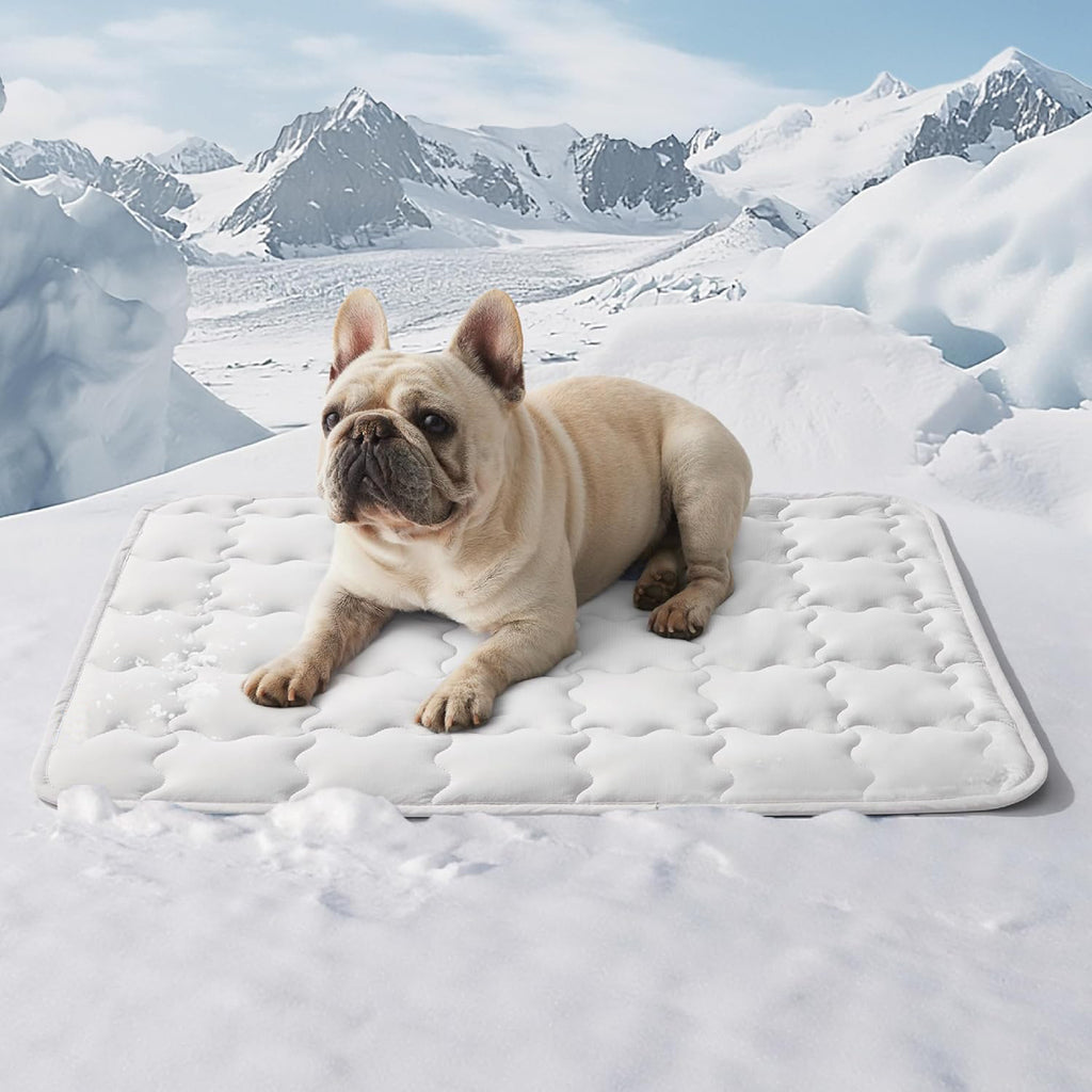 Tapis de glace pour animaux de compagnie lavable à la machine