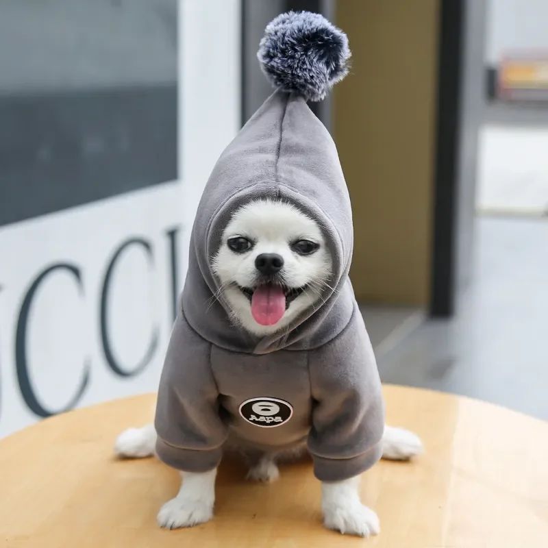 Animaux de compagnie Cat Vêtements Fleece Hairball à capuche Veste Hiver Kitty Petits chiens moyens Chats