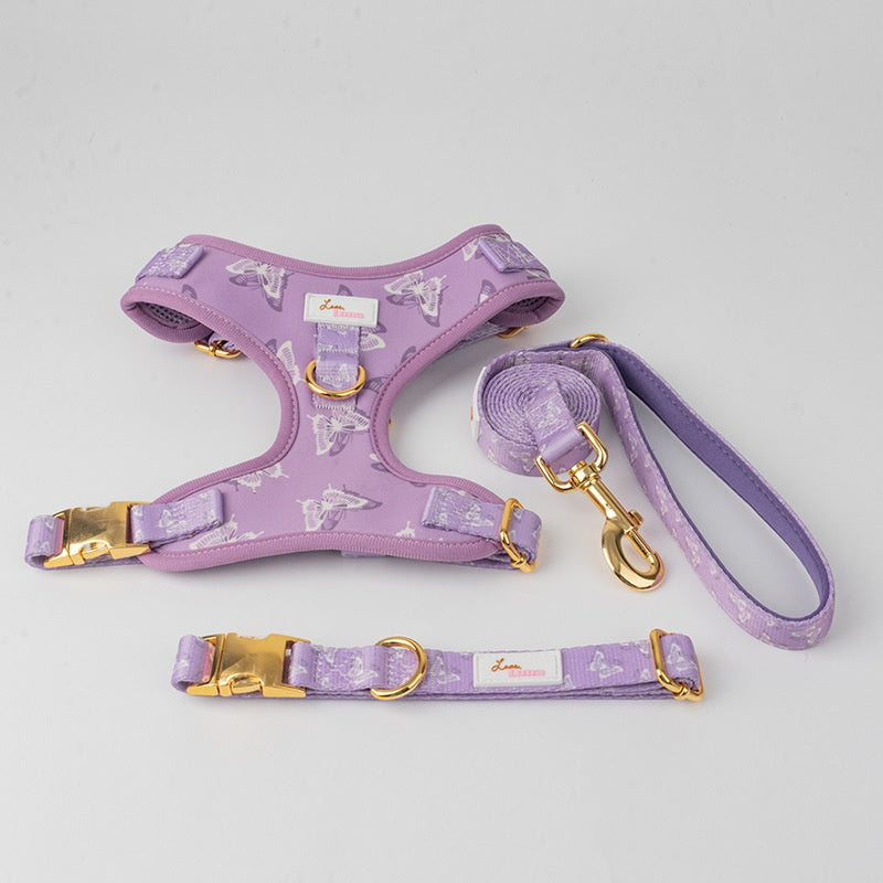 Chien Outfit Pet Extra-large Collier et laisse