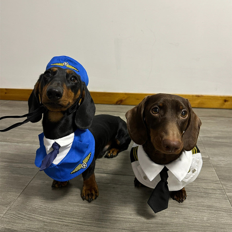 Dachshund Dog drôle vêtements Halloween costume
