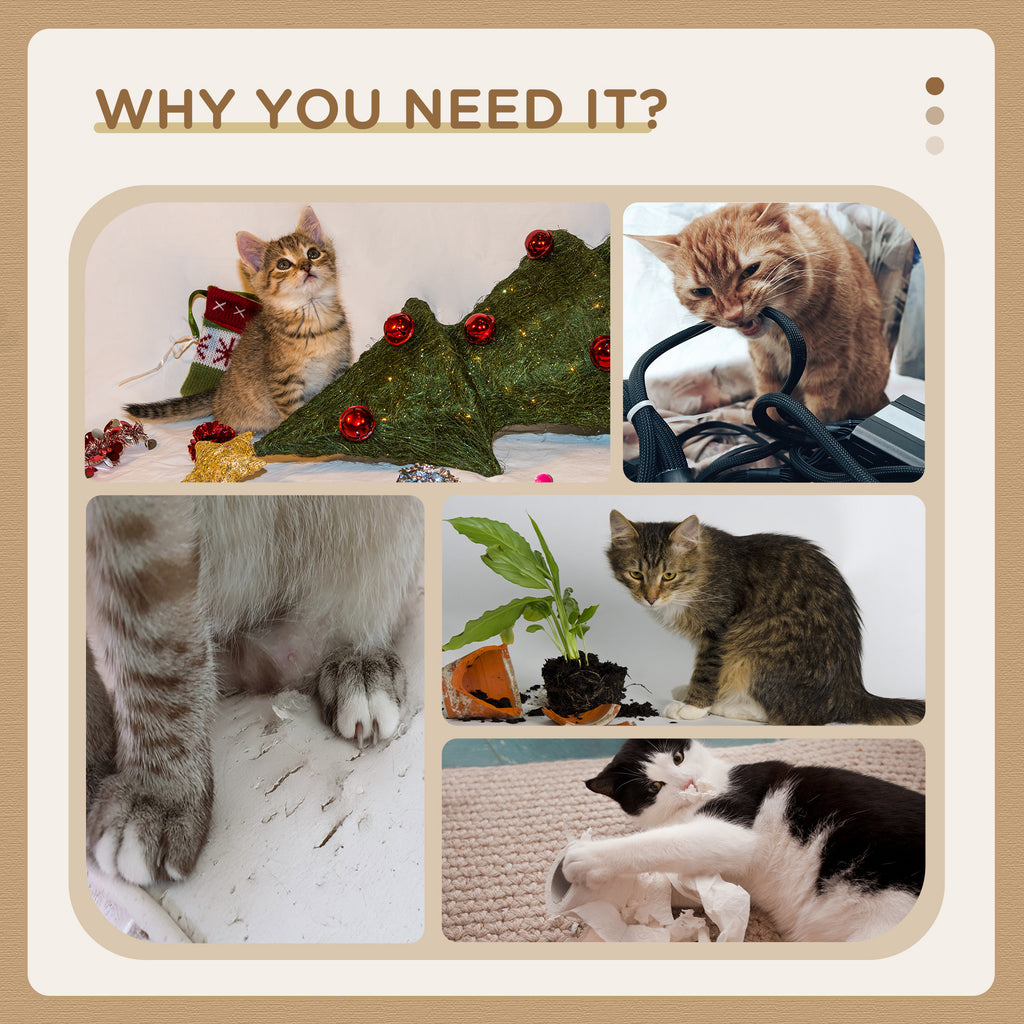 Arbre de chat pour les chats d'intérieur avec des postes de scratching