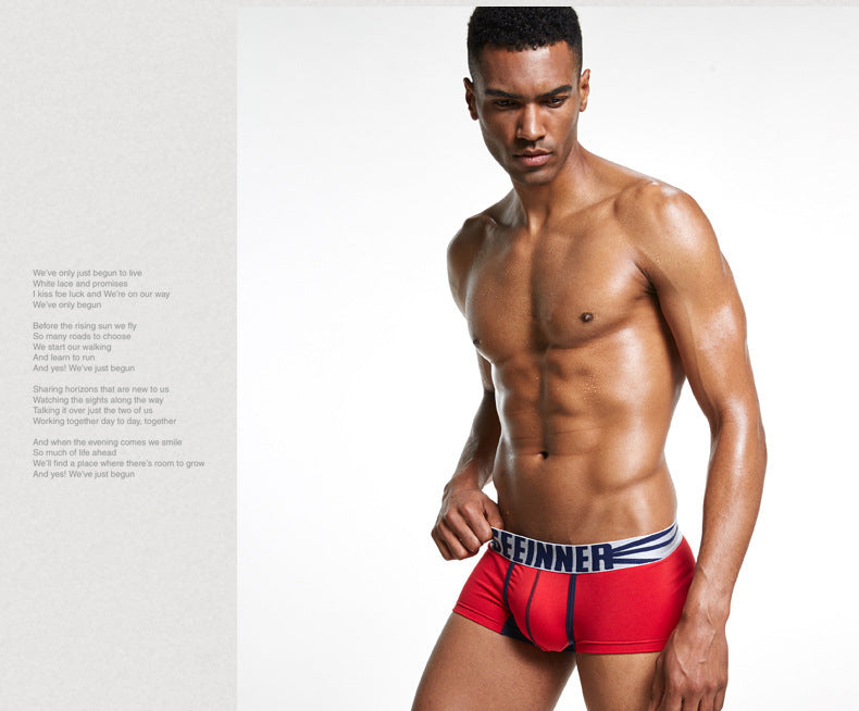 Sous-vêtements de design convex de type U en coton pour hommes