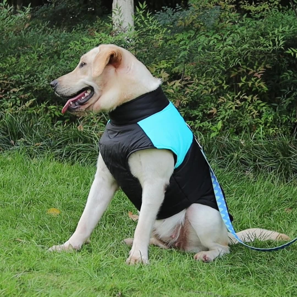 Hiver chaud vêtements pour animaux de compagnie imperméable chien rembourré Vest Zipper Veste pour petit Lar moyen